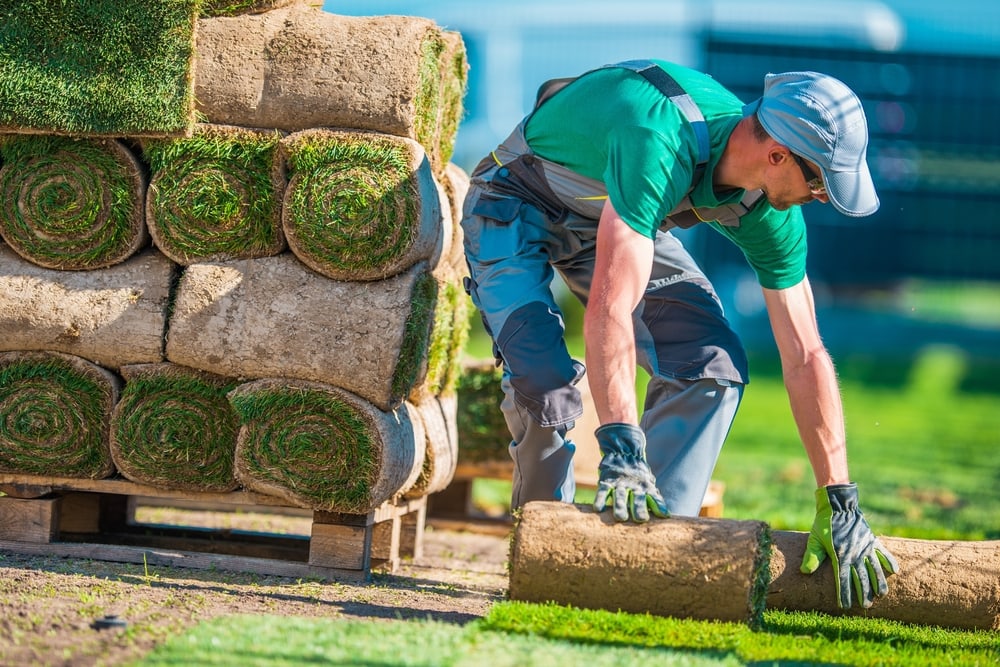 landscape installation